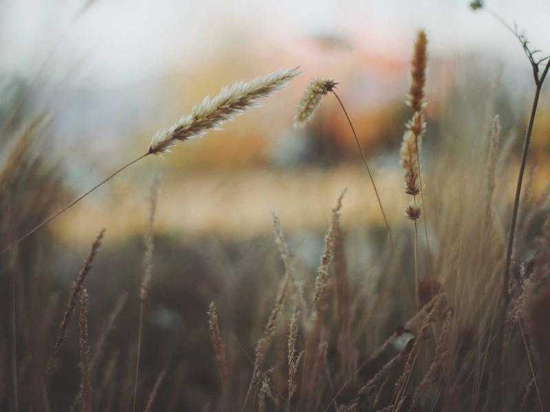 طقم بطانية أطفال — باستيل