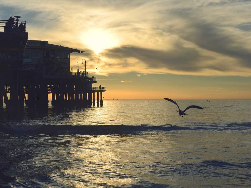 قبعة كروشيه باكيت