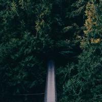 إبداعات دينا