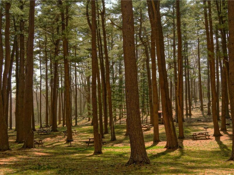 لوحة ماكراميه — كبيرة