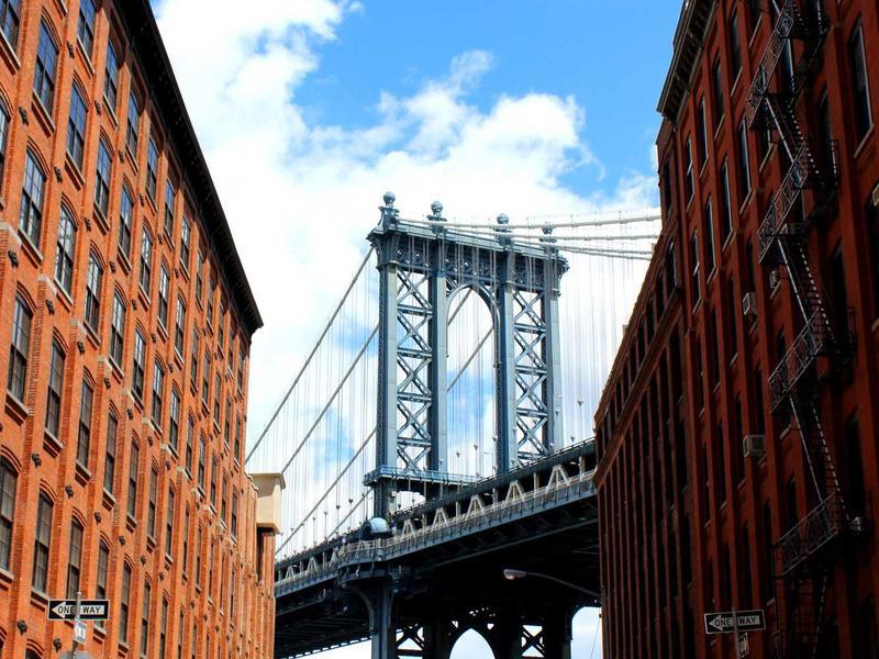 مجموعة حوامل نباتات ×٣